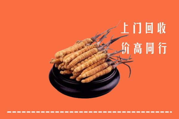 高价求购：梅州回收散虫草