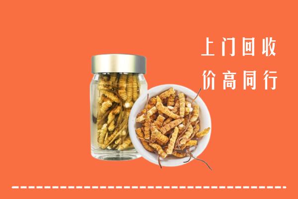 梅州回收冬虫夏草
